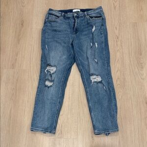 Vervet 32 Distressed Blue Jeans